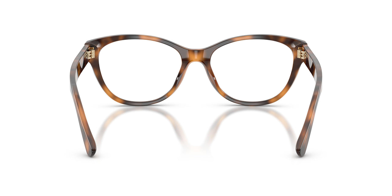 6089 - Tortoise
