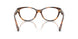 6089 - Tortoise
