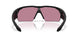913702 - Black - Rose