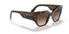 W65613 - Havana - Brown Gradient