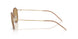 300273 - Gold - Brown