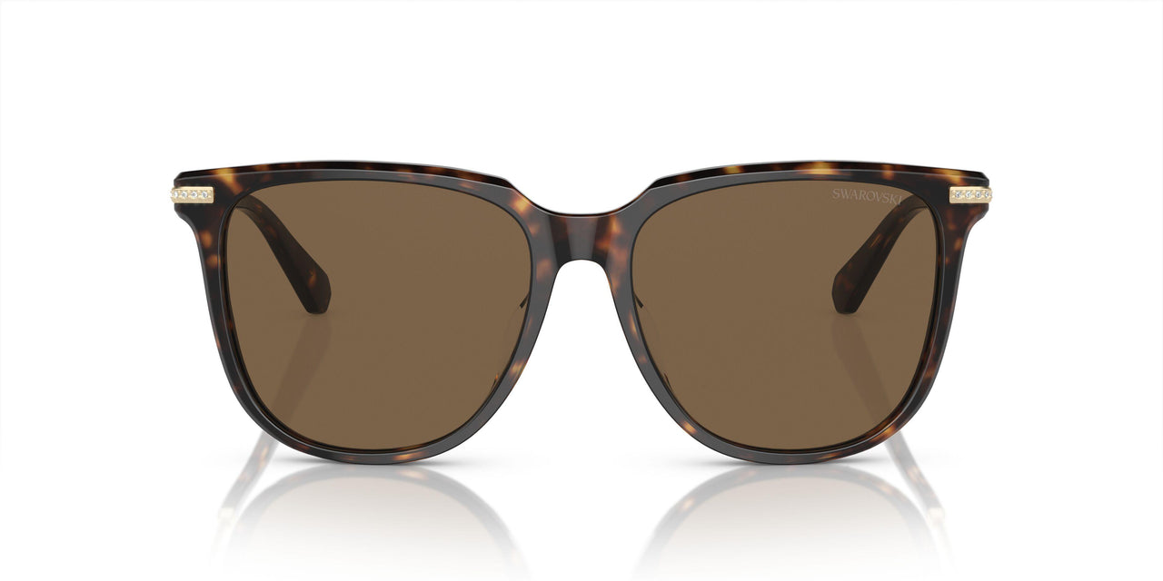 100273 - Brown - Brown