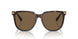 100273 - Brown - Brown
