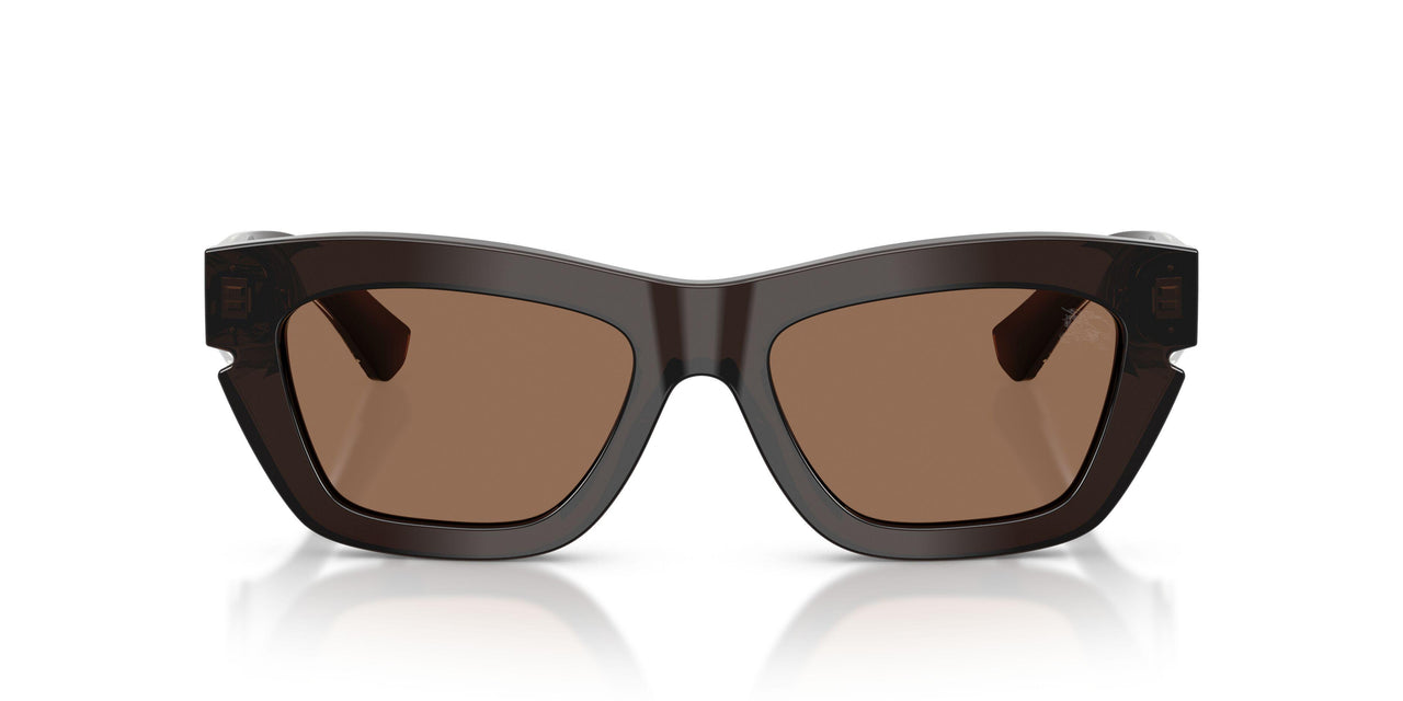 411673 - Brown - Dark Brown