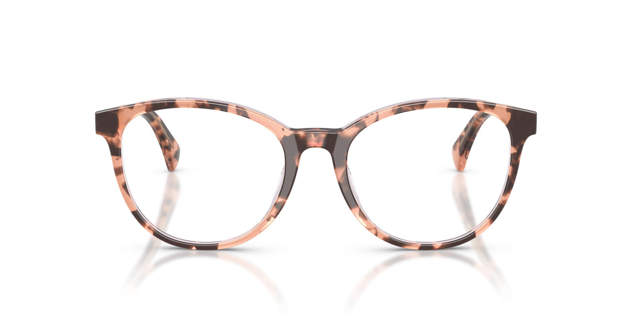 6295 - Tortoise