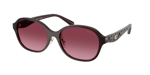 Coach Cby85 8445D Sunglasses