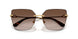 02/13 - Gold - Brown Gradient