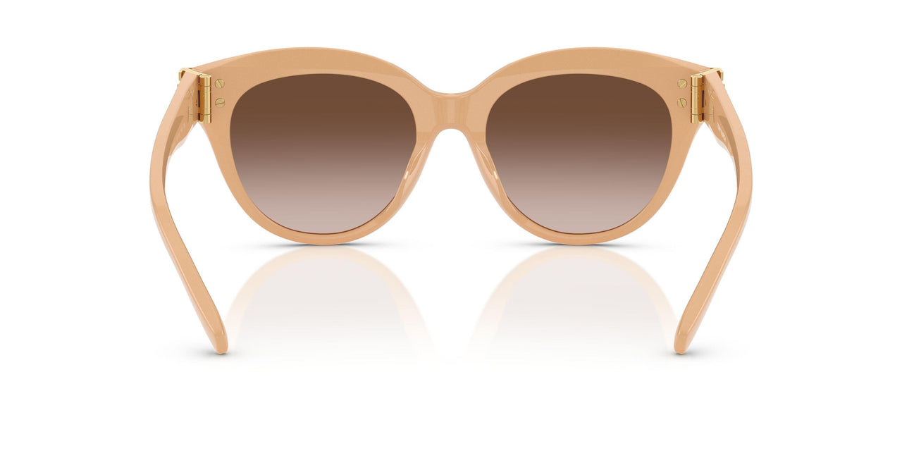 202013 - Pink - Brown Gradient
