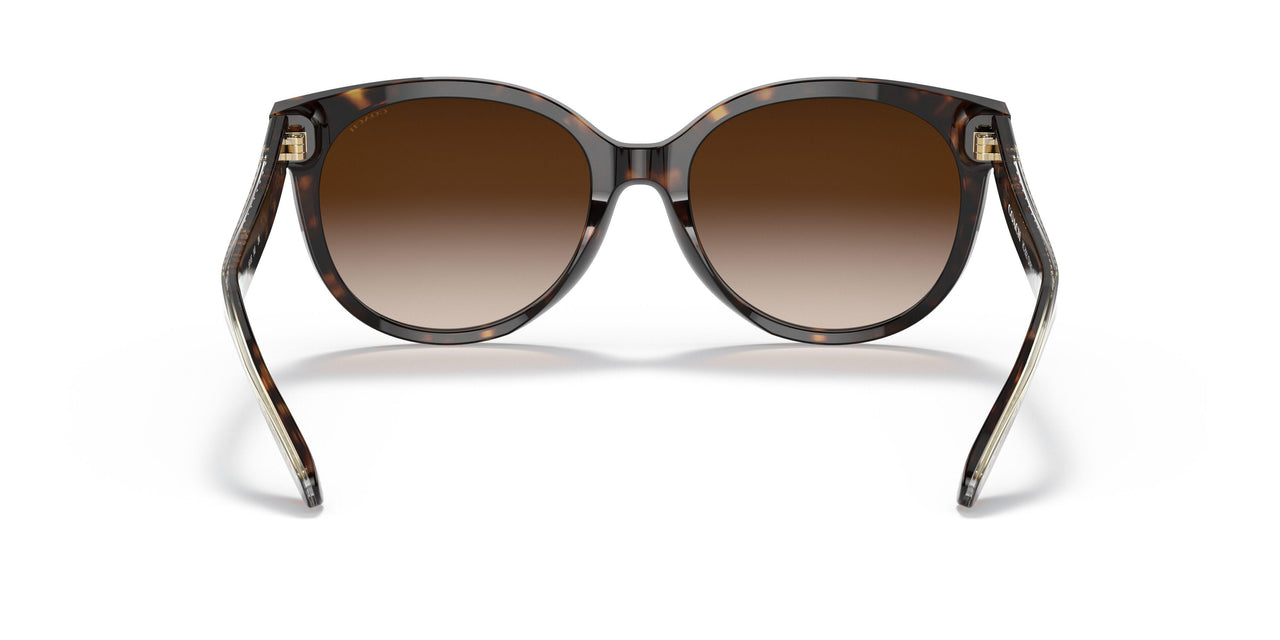 51203B - Havana - Brown Gradient