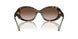 172813 - Tortoise - Brown Gradient