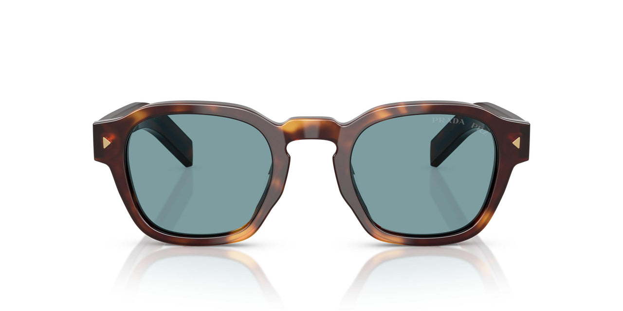 15W04D - Tortoise - Green Polar