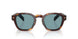 15W04D - Tortoise - Green Polar