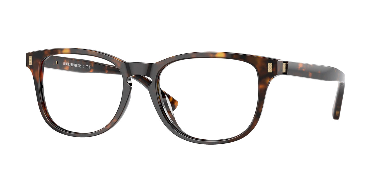 6001 - Tortoise