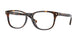 6001 - Tortoise