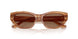 505573 - Brown - Dark Brown