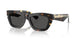 410687 - Tortoise - Dark Grey