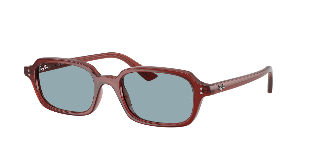Ray-Ban Zuri 4455F Sunglasses