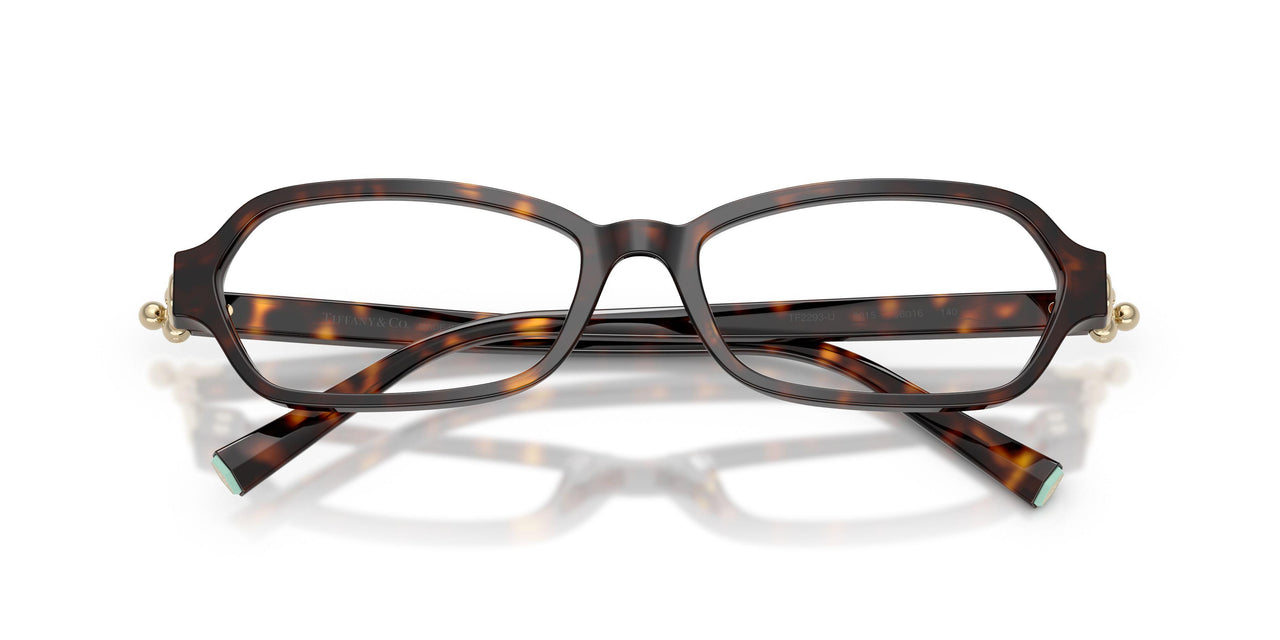 8015 - Tortoise