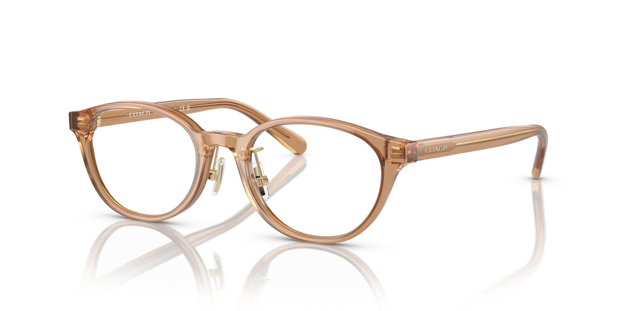 5654 - Brown