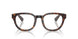 4205 - Brown