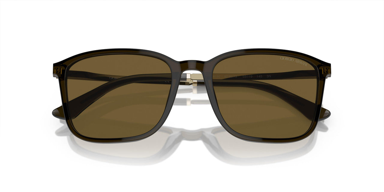503073 - Green - Dark Brown