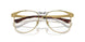 515/GI - Gold - Transitions Clear To Brown