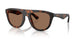 353673 - Tortoise - Dark Brown