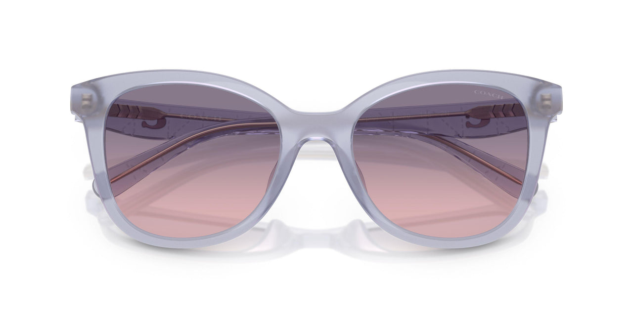 5873I6 - Violet - Violet Gradient