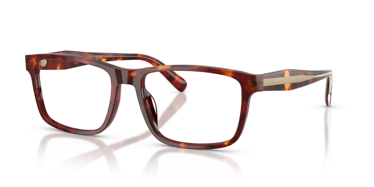 5938 - Tortoise