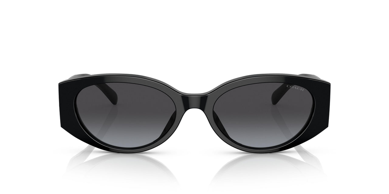 50028G - Black - Grey Gradient