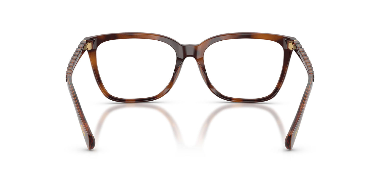 6149 - Tortoise
