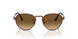 1123M2 - Brown - Polar Brown Gradient