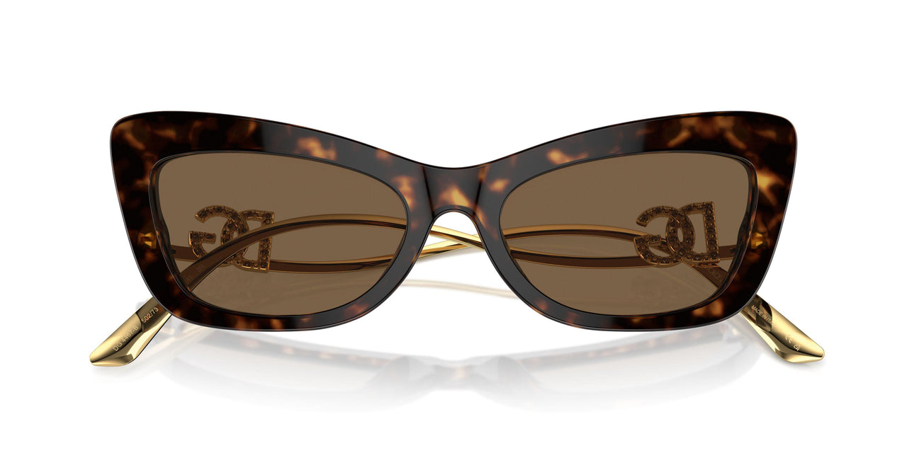502/73 - Tortoise - Dark Brown