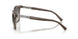 294011 - Brown - Gradient Grey