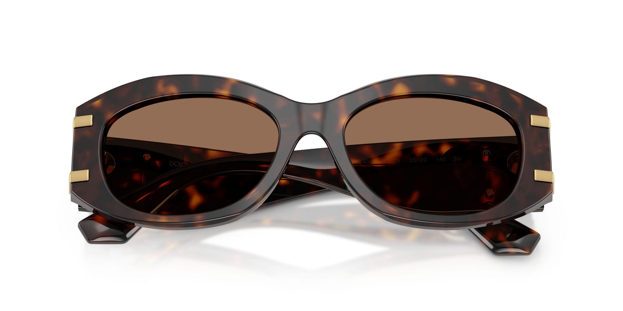 502/73 - Tortoise - Dark Brown