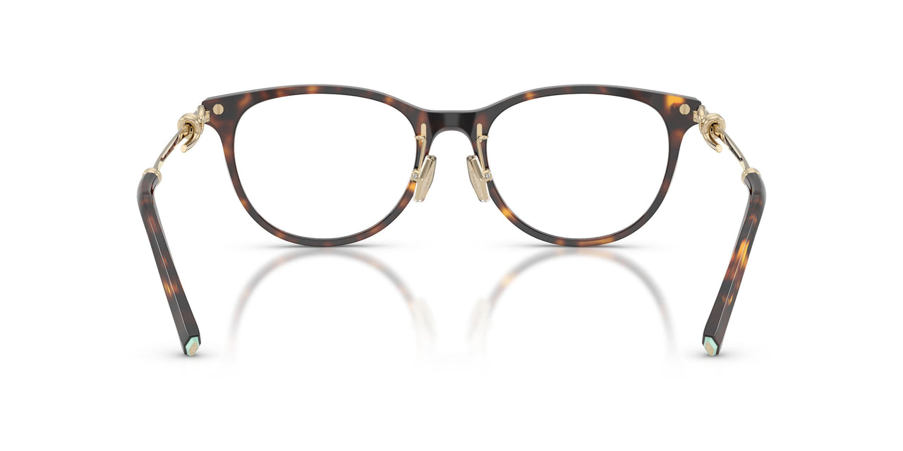 8015 - Tortoise