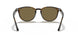 710/73 - Havana - Brown
