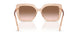 106313 - Brown - Brown Gradient