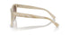 604813 - Tortoise - Gradient Brown