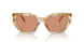 19N20D - Brown - Brown