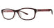 Modern Plastics II COZY Eyeglasses