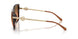 403118 - Tortoise - Orange Gradient Light Grey