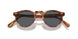 1483R8 - Havana - Indigo Photochromic