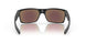 918946 - Black - Prizm Sapphire Polarized