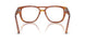 96/GJ - Brown - Transitions 8 Green