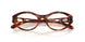 2003 - Tortoise