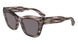 Longchamp LO777S Sunglasses