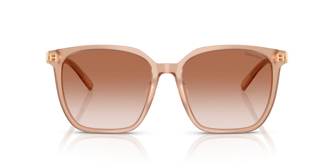 826813 - Pink - Pink Gradient