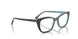 8366 - Brown - Clear