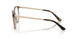 8329 - Brown - Clear